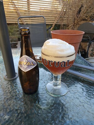 Gary's photo of Orval