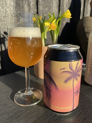 IpaPils's photo of Smooth Criminal - Mango APA