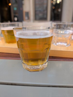 Synny's photo of IPA