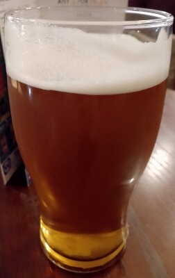 Deanso's photo of Vista IPA