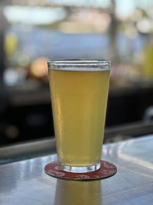 PLohbauer's photo of Tart Mango Cart