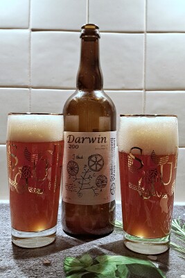 EvNa's photo of Darwin v4