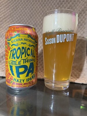 bhensonb's photo of Tropical Little Thing