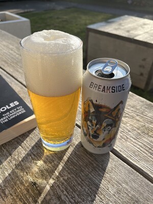 Borresteijn's photo of Wanderlust IPA