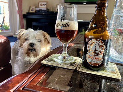 Grumbo's photo of Brune