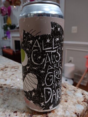 solidfunk's photo of All Cats Are Gray in the Dark