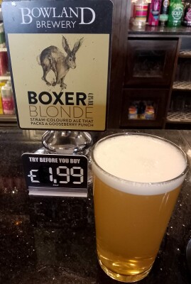 Deanso's photo of Boxer Blonde