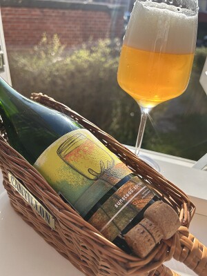 Dedollewaitor's photo of Sunstead: Apricot 2023