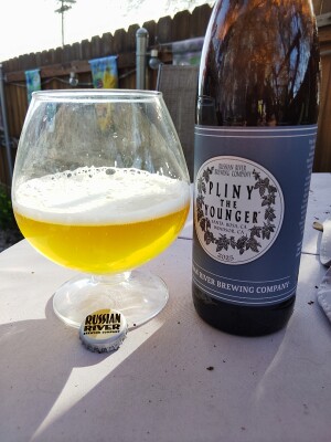 stevoj's photo of Pliny the Younger (2024)