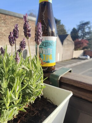minutemat's photo of Martin’s White IPA