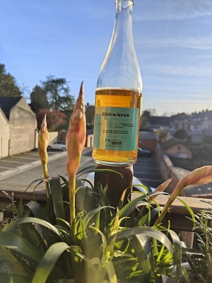 minutemat's photo of Cidre Brut