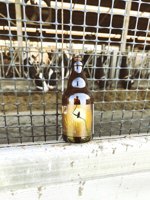 minutemat's photo of Tripel-Blond