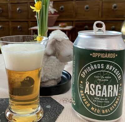 RuneBlix's photo of Åsgarn