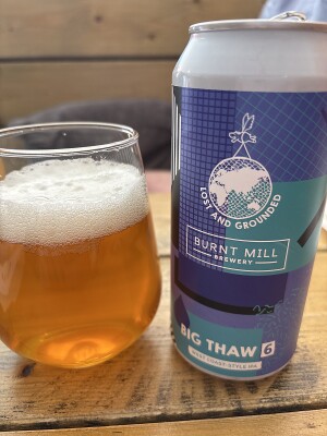 Mr_Pink_152's photo of Big Thaw 6