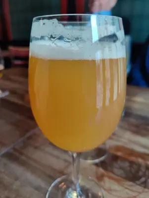 AndySnow's photo of Mountain Hazy IPA