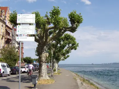 Olut's photo of Bodensee Pils