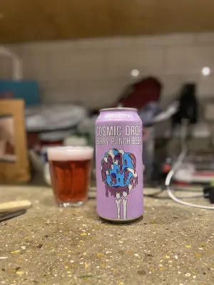 Leighton's photo of Cosmic Drop - Berry Punch Beer