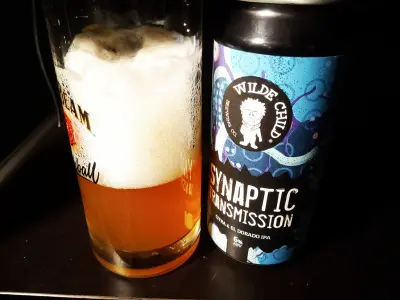 Olut's photo of Synaptic Transmission