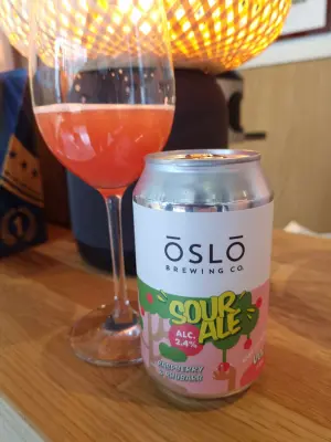LasseL's photo of Sour Ale