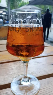 NilsAS's photo of Ma3 Belgian Style Trippel