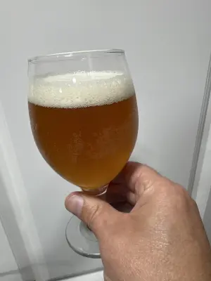 jamaty's photo of 030 Berlin Pale Ale