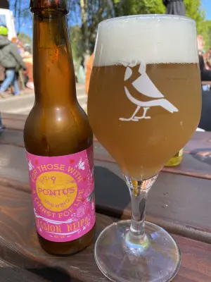 Borresteijn's photo of Sunshine Shake