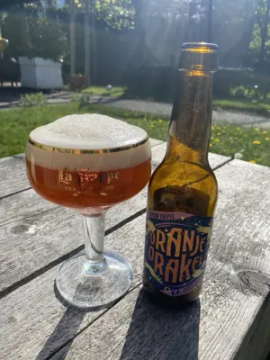 Borresteijn's photo of Oranje Orakel