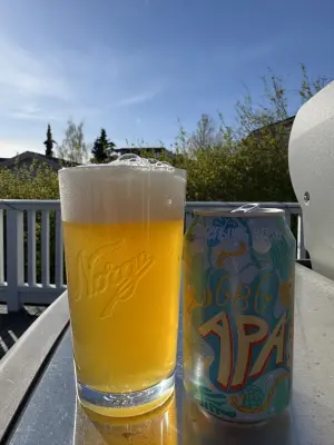 Chris_Ofstad's photo of GBG APA