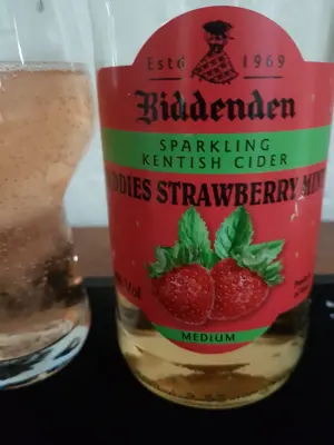 danlo's photo of Biddies Strawberry Mint