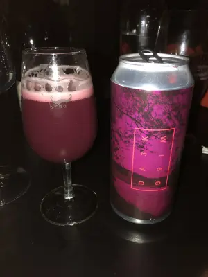 IpaPils's photo of Darkwing (3.5%)