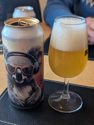 Synny's photo of Koalafication