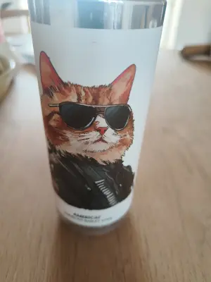 Charlotte's photo of Americat