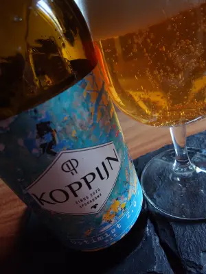 TomHendriksen's photo of De Optimist 2.0