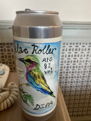 wyzzywyz22's photo of Lilac Roller