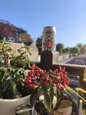 minutemat's photo of Non IPA (Nonnetje)