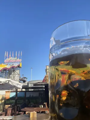 jhaase's photo of Dinkelacker Frühlingsfestbier