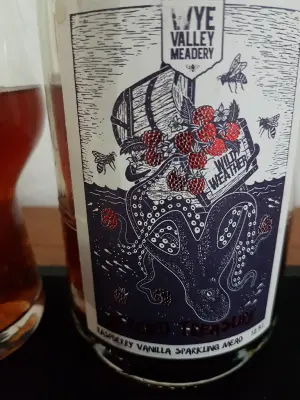 danlo's photo of Buried Treasure Raspberry Vanilla Sparkling Mead