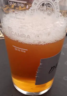 Deanso's photo of Tripel Hop Xtra IPA