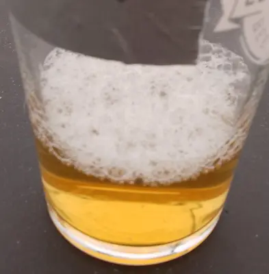 Deanso's photo of Spring Ale