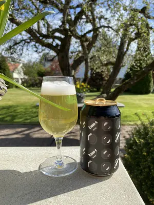 IpaPils's photo of Gold Coin Gose