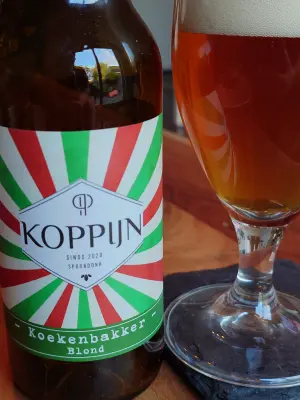 TomHendriksen's photo of Koekenbakker