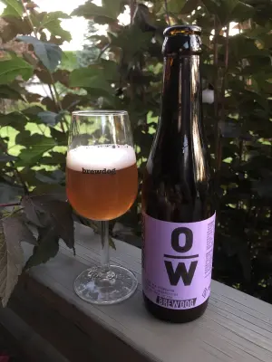 IpaPils's photo of Prototypical Session Sour