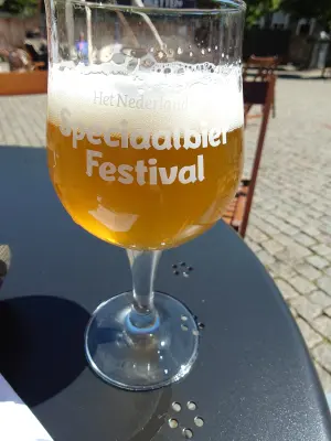 TomHendriksen's photo of Joking With Belgian Blondes