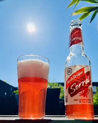 Grumbo's photo of Red Stripe Sorrel