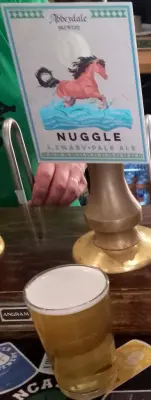 Deanso's photo of Nuggle