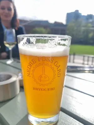 Arsol's photo of Farmhouse Ale