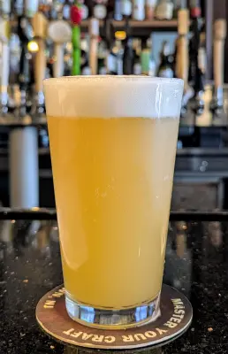 ben4321's photo of Terp Tonic