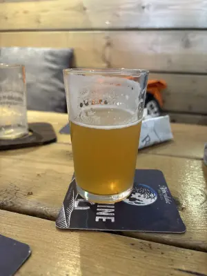 Mr_Pink_152's photo of Single Hop Pale Series No. 9 - Luminosa