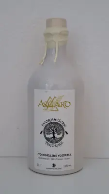 lore's photo of Asgard