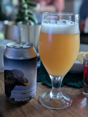 Synny's photo of Havørn